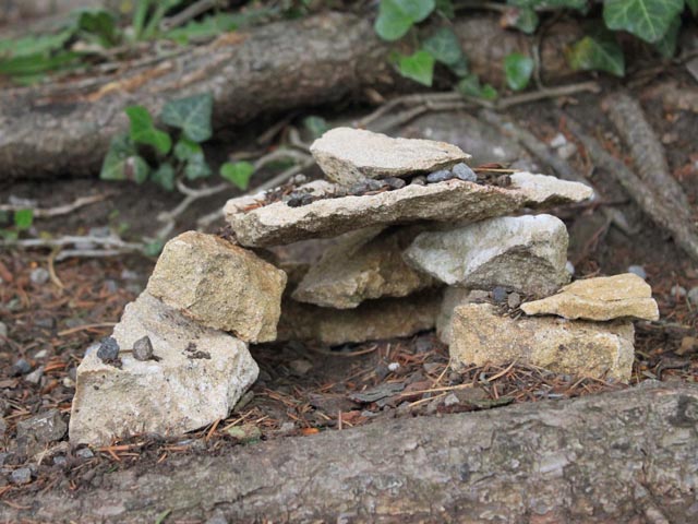 Wohnt hier wohl eines der Strihenmandli? Foto: Jurapark Aargau