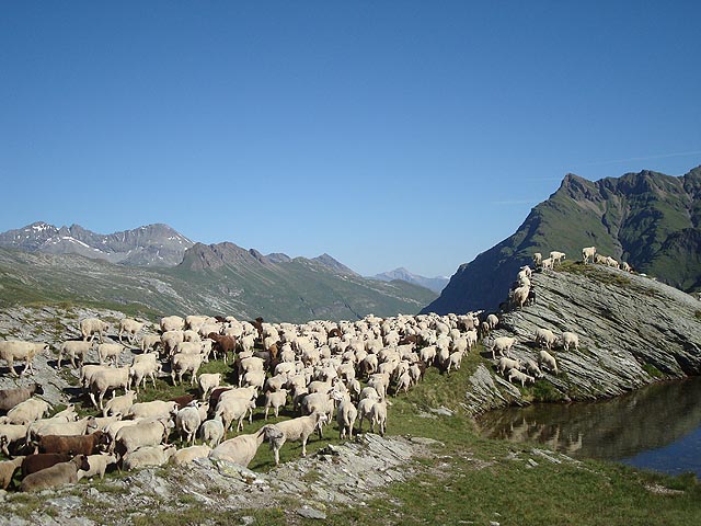 Foto: agridea