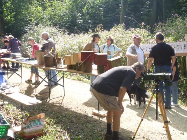Am Kaiseraugster Waldtag war viel über den heimischen Forst zu erfahren. Foto: Urs Wullschleger
