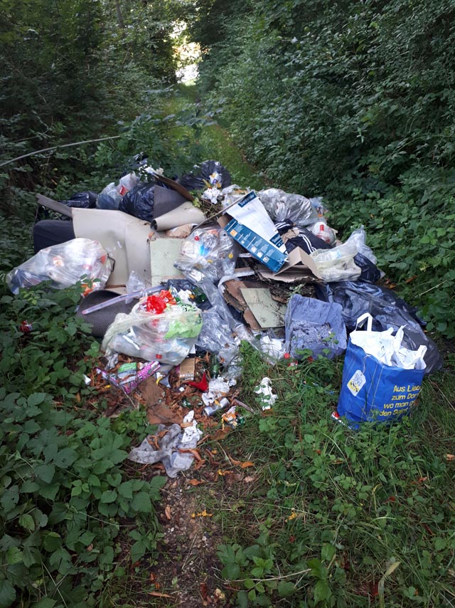 Auf dem Gemeindegebiet Effingen wurde illegal Müll im Wald abgeladen. Foto: Polizei