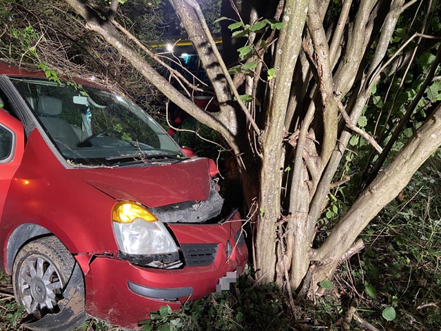 Das Auto des jungen Fahrzeuglenkers wurde bei dem Selbstunfall total zerstört. Foto: Polizei
