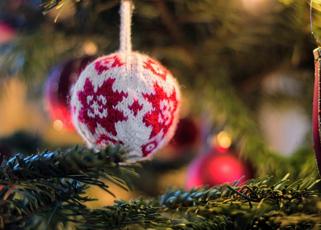 Nicht jeder verträgt die hübsche Weihnachtsdekoration. Foto: Luca Christen