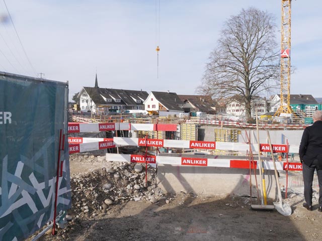 Die Blutbuche des Rinau Park konnte erhalten werden. Foto: Jörn Kerckhoff