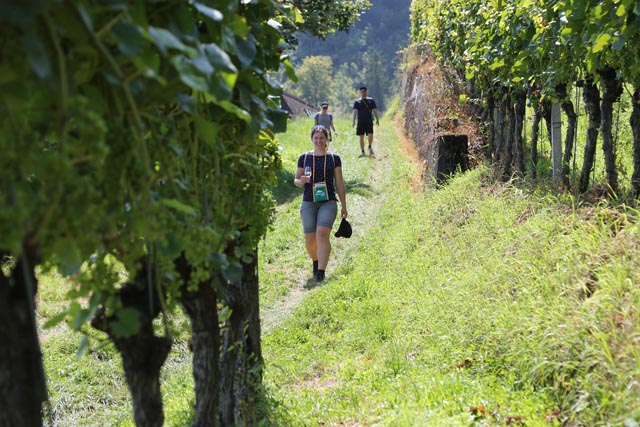 Impression von der Weinwanderung 2021. Foto: © Jurapark Aargau