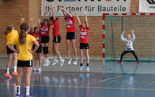 Spiel gegen die SG Stans/Altdorf zu Hause in Frick. Foto: zVgg