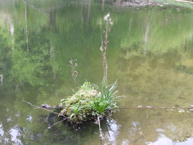 Die Wasserversorgung in der Schweiz ist gewährleistet. Foto: zVg