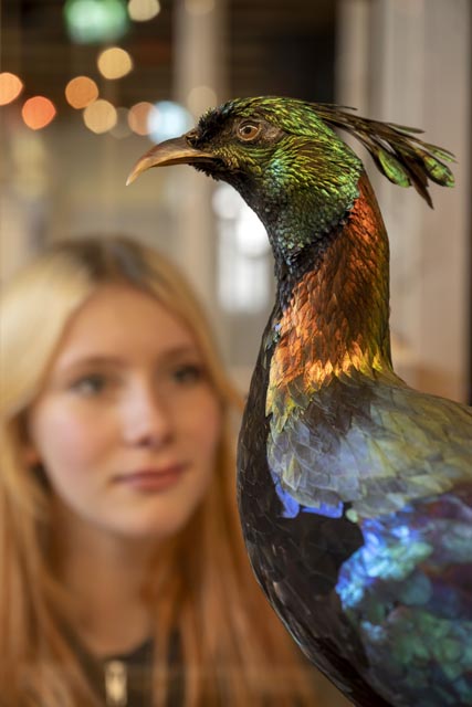 Foto: Georgios Kefalas © Museum.BL