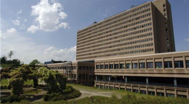 Foto: zVg