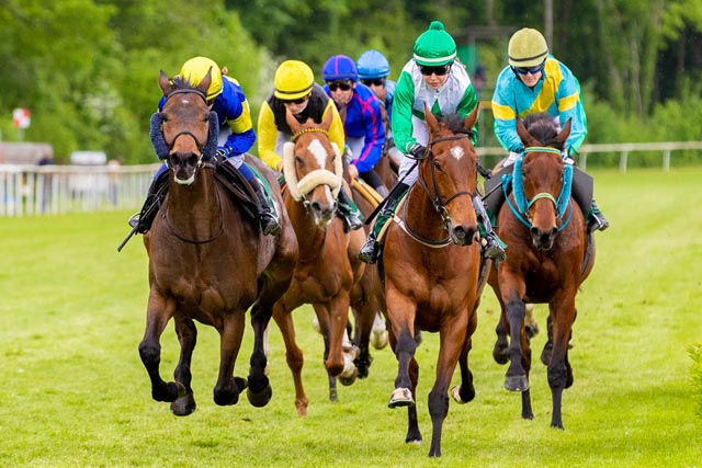 Der Aargauer Rennverein, der in diesem Jahr sein 100-Jahre-Jubiläum feiert, präsentiert am 27. August und am 17. September je acht Pferderennen. Foto: Copyright Pferderennen Aarau