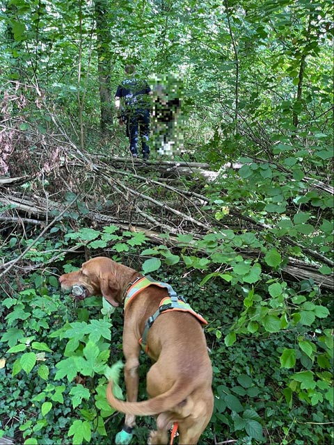 Personenspürhund «Falu» im Einsatz. Foto: Polizei BL