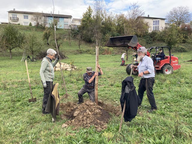 oller Einsatz von der «Seniorengruppe Grauschnäpper». Foto: © Jurapark Aargau
