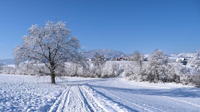Foto: Bianca Kühweidner