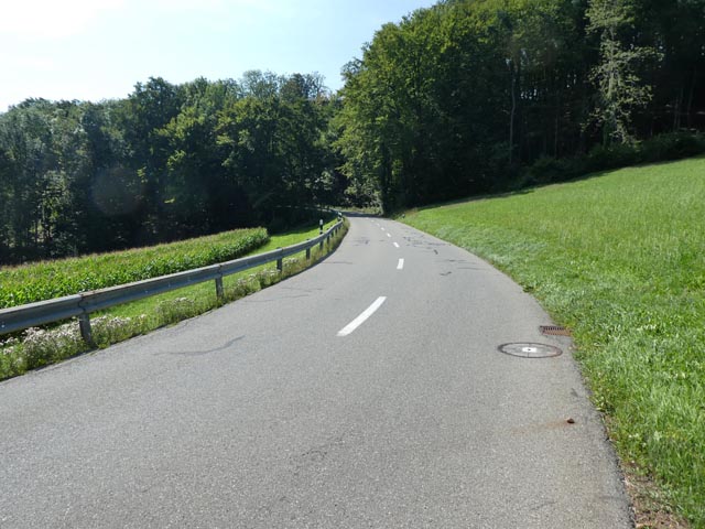 Ende Februar 2024 starten die Bauarbeiten an der Staffelegg zwischen der Passhöhe und Thalheim. Foto: zVg