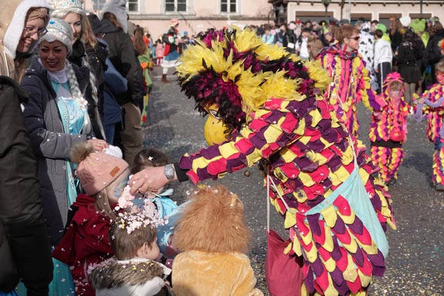 Ein Paradiesvogel füttert die Jugend. Foto: Peter Schütz