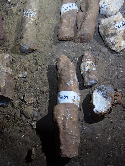 Die entnommenen Stalagmiten (hier aus der Feldarbeit 2021) werden sorgfältig markiert und nummeriert um sie später besser identifizieren und zusammensetzen zu können. Foto: Universität Basel, Dominik Fleitmann