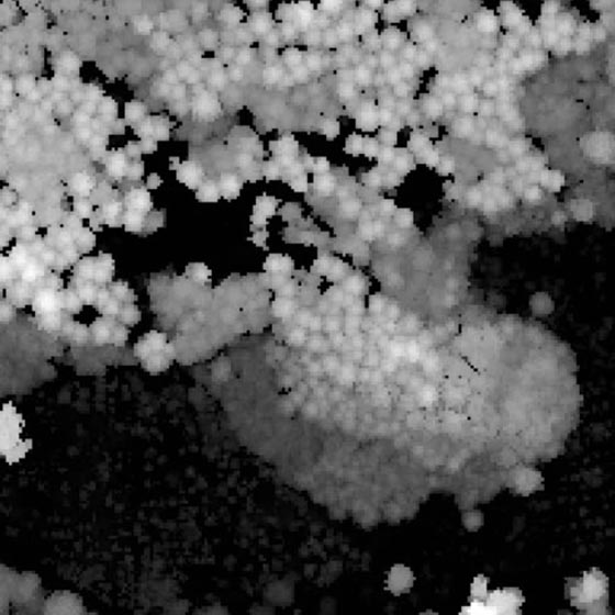 Das Vegetationshöhenmodell bildet in einem Raster die Höhe der Vegetation ab und ist eine wichtige forstliche Planungsgrundlage. Foto: © Abteilung Wald, Kanton Aargau