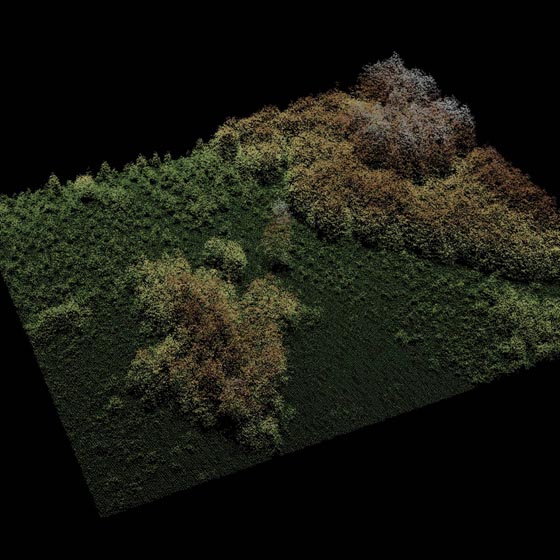 Aufgrund der LiDAR – Punktwolke ist die Vegetation und deren Höhe gut erkennbar. Foto: © Abteilung Wald, Kanton Aargau