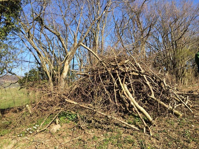 Ast- und Steinhaufen, sog. «Wieselburgen», bieten Unterschlupf für Wiesel und Hermeline. Foto: © Jurapark Aargau