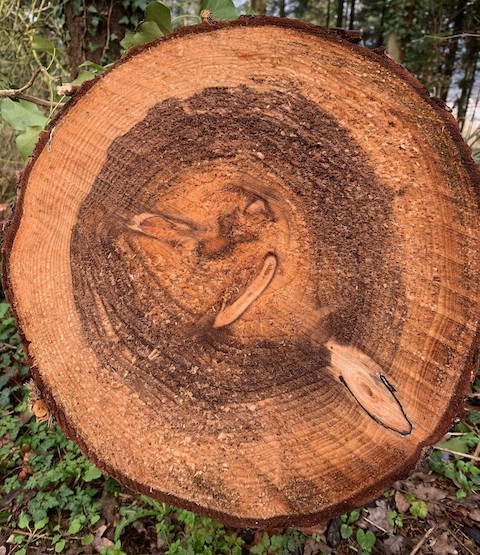 Beobachtet: Bei diesem Gesicht verzieht jemand den Mund. 