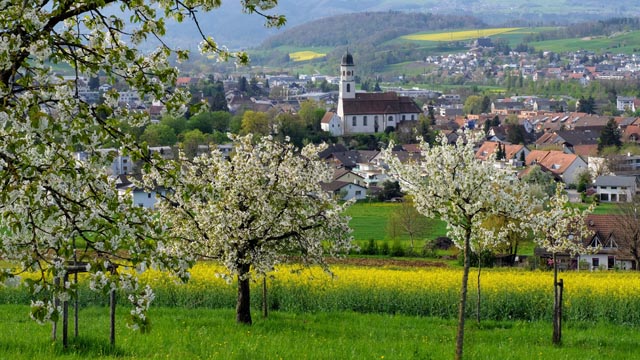 Foto: Bianca Kühweidner, Frick