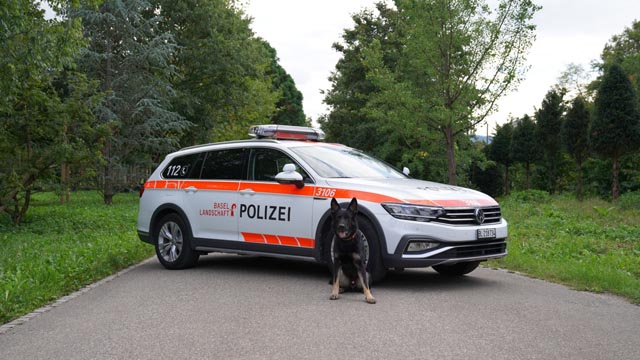 Diensthund «Ares» vom Hause Vax, 7-jähriger Deutscher Schäferhund. Foto: Polizei BL