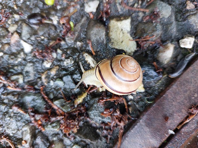 Foto: Olivia Di Marco