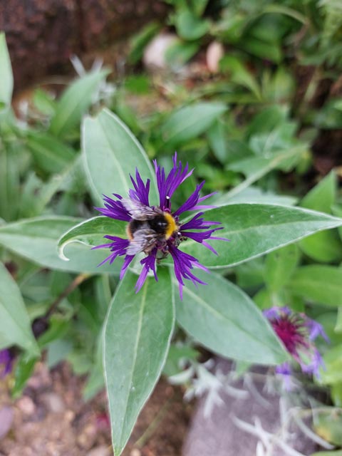 Foto: Olivia Di Marco, Frick