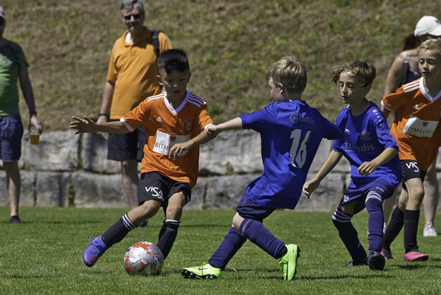 Impression vom Sommerfest 2023. Foto: zVg