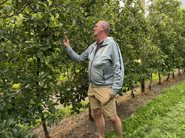 Pierre Dorsaz bei der Inspektion seiner Obstplantagen. Foto: Pascale Bieri AGIR