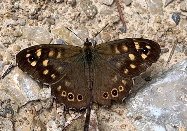 Foto: Margrit Freudemann