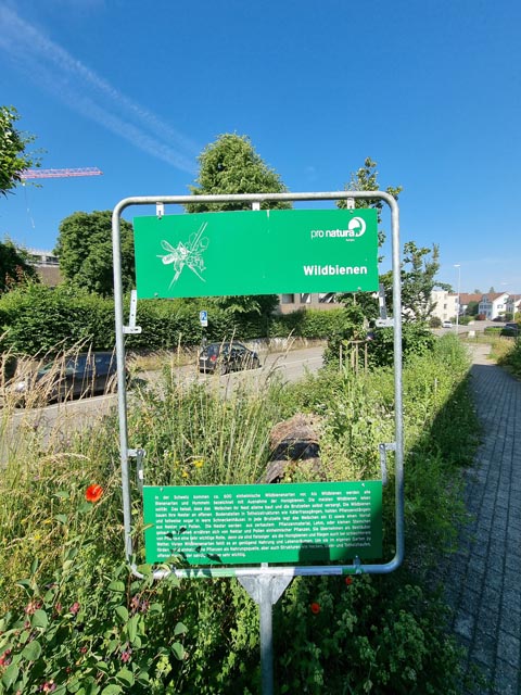 Fenster in der Natur gab es schon in Wohlen. Foto: Pro Natura