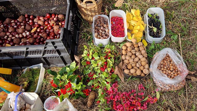 Foto: Irma Zimmermann