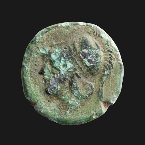 Bronzemünze aus dem 3. Jh. v. Chr. – Vorderseite mit Kopf der Minerva. Foto: ©Augusta Raurica 