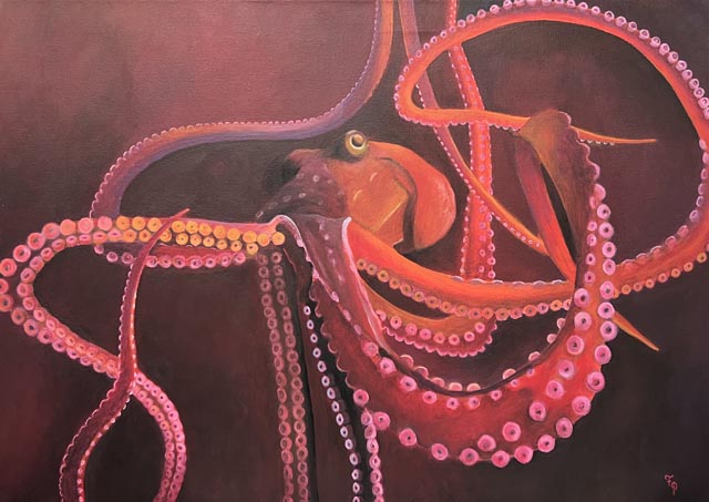 Tintenfisch. Foto: zVg