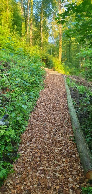 Ein vom Zivilschutz aufbereiteter Weg, im Hintergrund eine Treppe. Foto: zVg