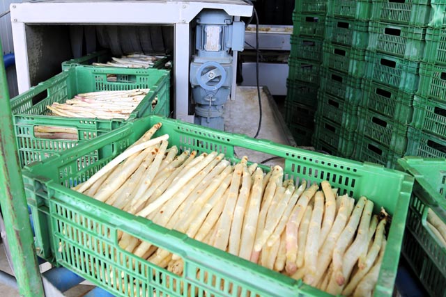 Letztes Jahr wurden in der Schweiz 501 Tonnen Bleich-....