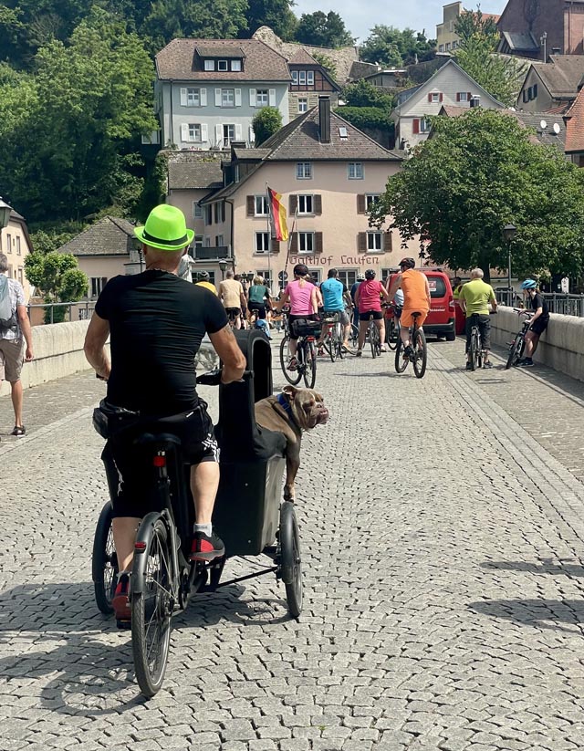 Hund im Gepäck. Foto: Nicole Hübner