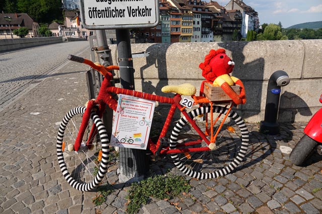 Der Laufenburger Leu hat es sich in einer Kiste gemütlich gemacht. Foto: Peter Schütz