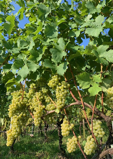 Foto: Margrit Freudemann