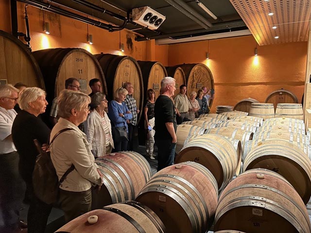 Im Barriquekeller der GVS Schachemann. Foto: zVg