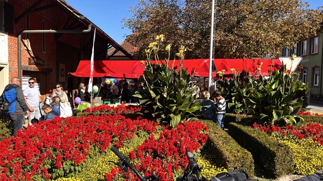 Herbstmarkt am Melihus. Foto: Caroline Fromm