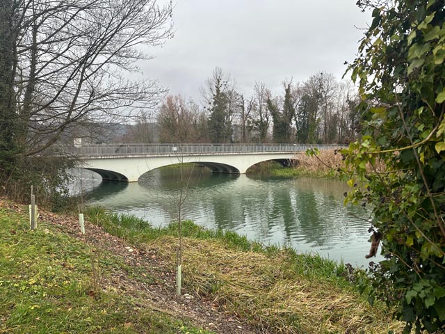 Das erste Brutgebiet wurde mit der Sanierung der Brücke über die Ergolz zerstört. Die Eisvogelwand befindet sich deshalb weiter flussaufwärts. Foto: Sonja Fasler