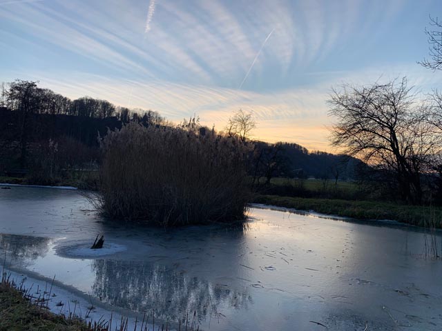 Foto:  Margrit Freudemann, Kaisten