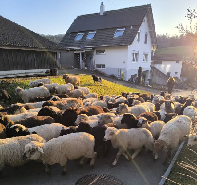 Leserfoto: Marc Deiss