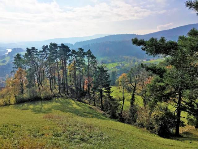 Für Pro Natura Aargau ist klar: Der Rückbau unnötiger Bauten bietet auch eine Chance für Natur und Gesellschaft. Foto: Pro Natura Aargau / Matthias Betsche