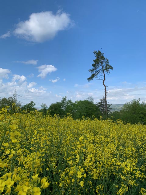 Foto: Margrit Freudemann, Kaisten