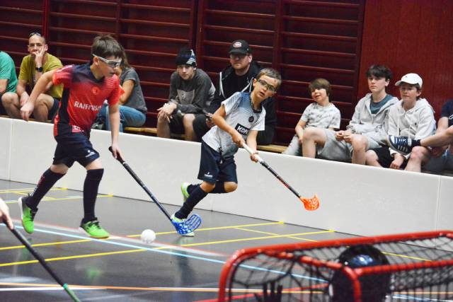 Der letzte Ball für diese Saison ist gespielt. Foto: zVg