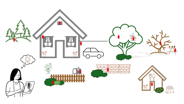 Orte im Siedlungsgebiet, an denen Primärnester im Frühling gesichtet werden können. Foto: © Kanton Bern