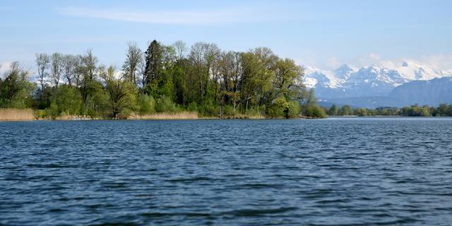 Seen wie der Baldeggersee wirken als natürliche Stickstoffsenken und tragen dazu bei, die Ökosysteme flussabwärts vor Nährstoffverschmutzung zu schützen. Die Klimaerwärmung schwächt diese wichtige Filterfunktion (Bild: zvg/Pro Natura Luzern).
