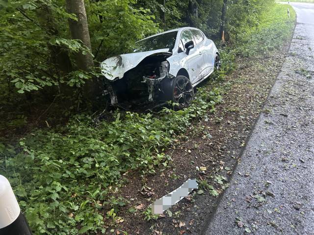 Grosser Sachschaden entstand bei einem Selbstunfall bei Zetzwil.